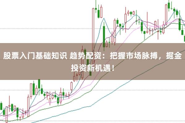股票入门基础知识 趋势配资：把握市场脉搏，掘金投资新机遇！