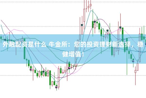 外融配资是什么 牛金所：您的投资理财新选择，稳健增值！