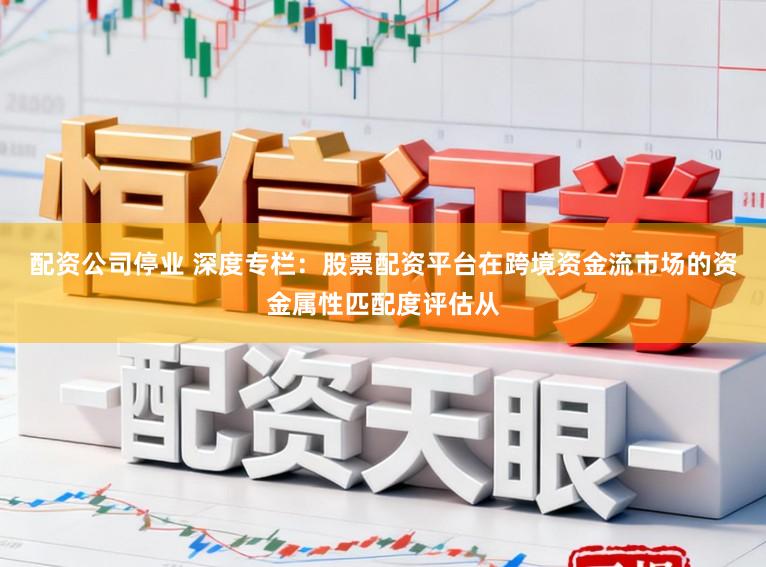 配资公司停业 深度专栏：股票配资平台在跨境资金流市场的资金属性匹配度评估从