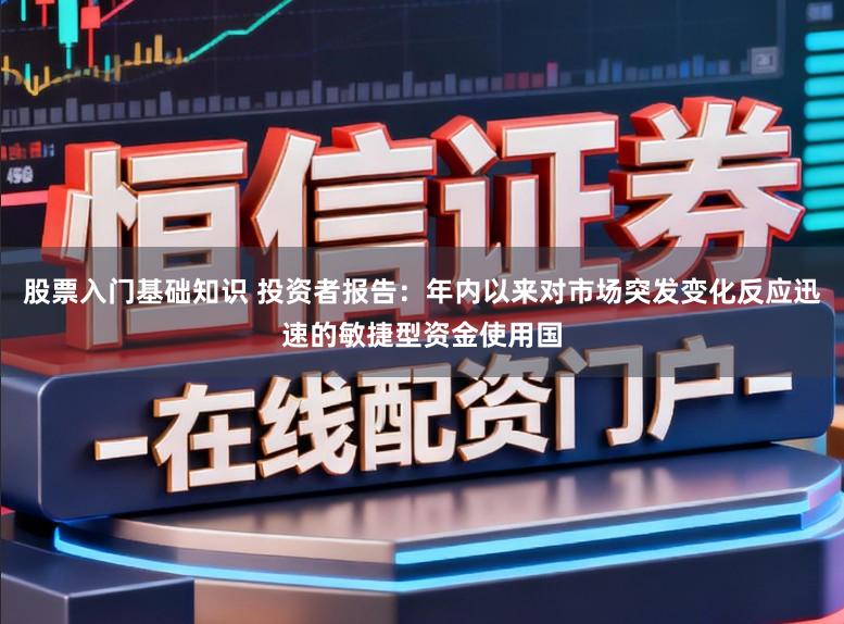 股票入门基础知识 投资者报告：年内以来对市场突发变化反应迅速的敏捷型资金使用国