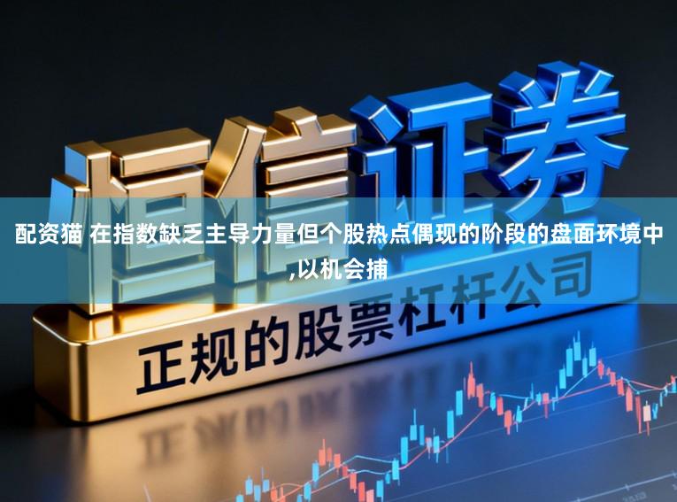 配资猫 在指数缺乏主导力量但个股热点偶现的阶段的盘面环境中,以机会捕