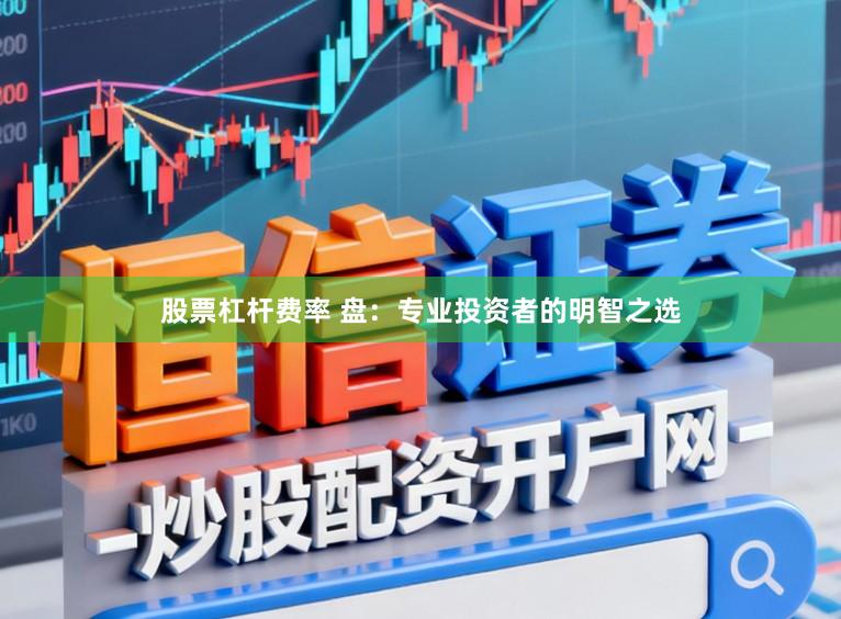 股票杠杆费率 盘：专业投资者的明智之选